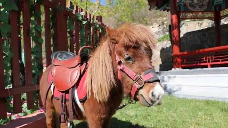 漂亮公主填色