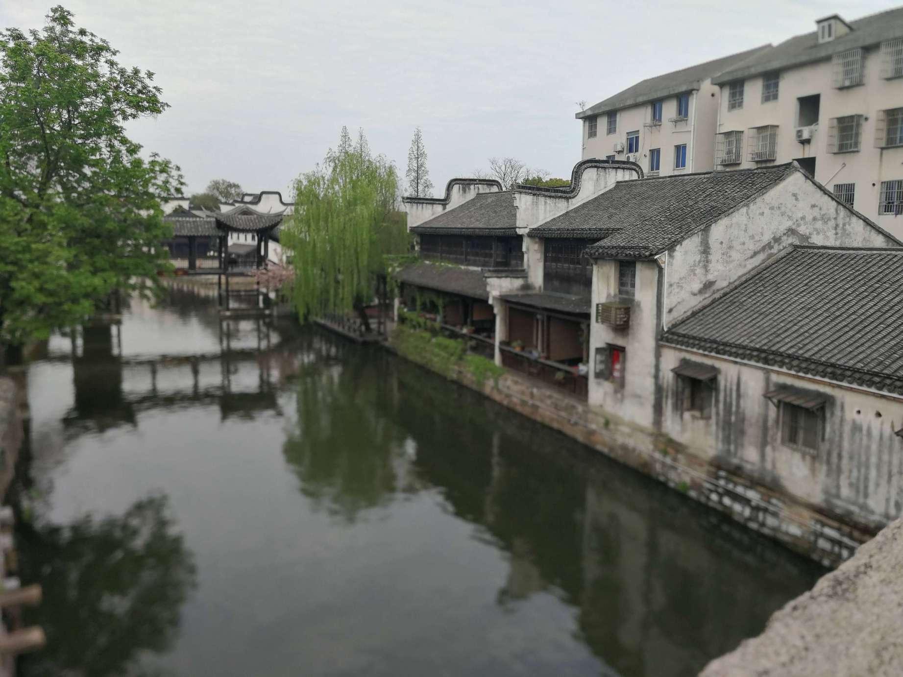 红树林逃生